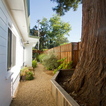 Side Yards