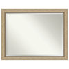 Astor Champagne Beveled Wall Mirror - 45 x 35 in.