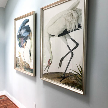 Coastal Whole House Renovation
