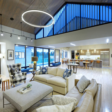 Black and Tan House