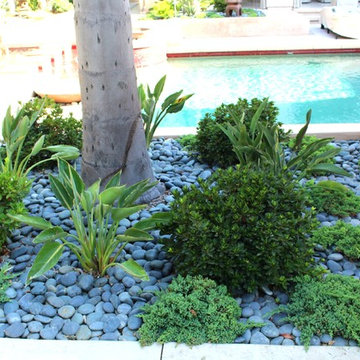 Asian Garden
