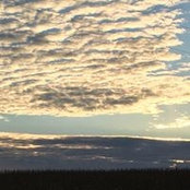 Tracy Kirksey's photo