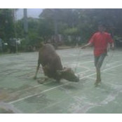 Dimas Ariestyanto's photo