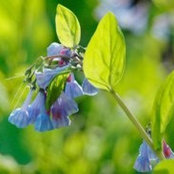 Megan Brand's photo