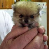 Janie Burnette's photo