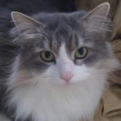 Katie Edwards's photo