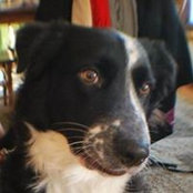 Debra Feldt's photo