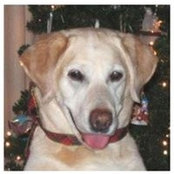 Beth Edelheit's photo