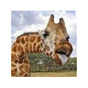 Amon Davenport's photo
