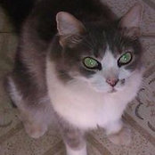 Foto von Kat Moratin