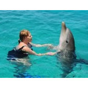 Teresa Buttram's photo