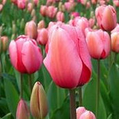 Cherlynn Porter's photo