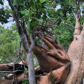 Anne Vangheluwe's photo