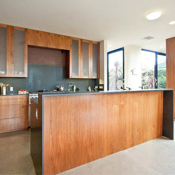 Venice Beach House