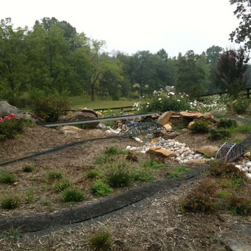 Train Garden