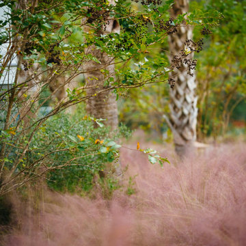 SGA NarmourWright - Riverview, Kiawah Island