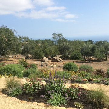 Jessica's Garden