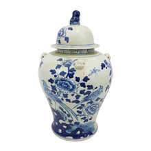 blue and white