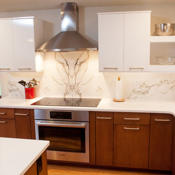 Contemporary Renovation