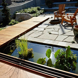 Quantum Windows & Doors | STUDIOEDISON David Hall AIA - 窓＆ドア