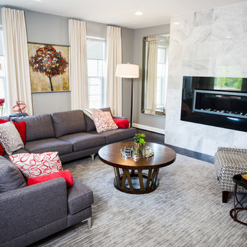 Sleek Contemporary Decor in Ashburn