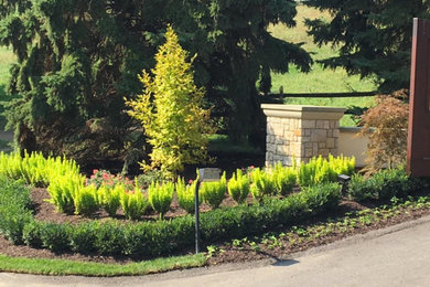 Inspiration for a landscaping in San Diego.