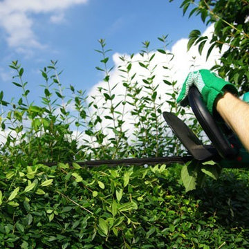 Gartenpflege