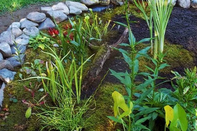 Design ideas for a full sun landscaping in New York for summer.
