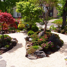 front yard