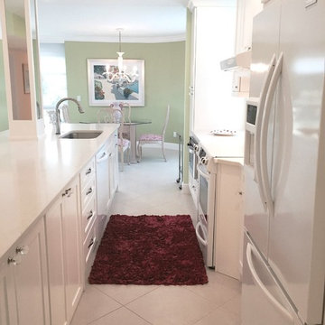 Gulf Shore Blvd - Naples Remodel
