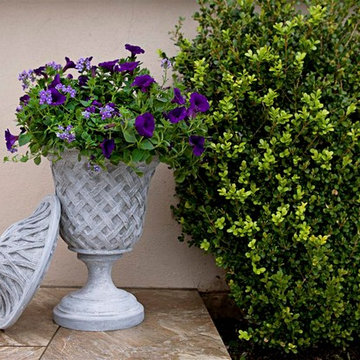 Lattice Urn With Top