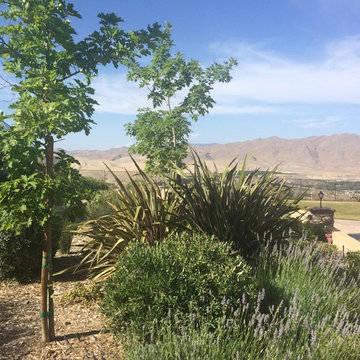 Desert views