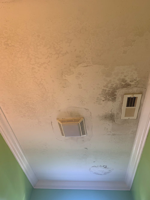 How is this mold spreading