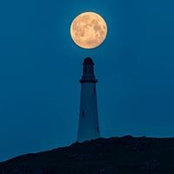 Marsha Garrison's photo