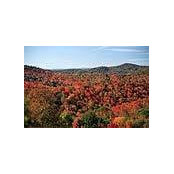 Susan Huttman's photo