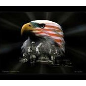 Mike Taylor's photo