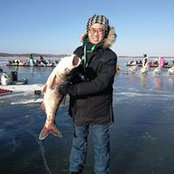 Justin Ho's photo