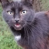 Linda Cloud's photo