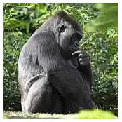 Glenn Rogers's photo