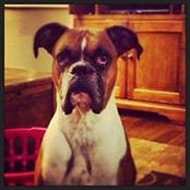 Miranda Harden's photo