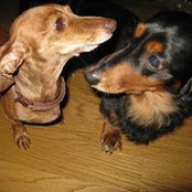 Gina Hoffman's photo