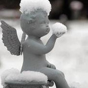 Foto von Debbie Settle