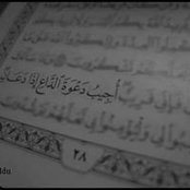 Mohamed Dvm's photo