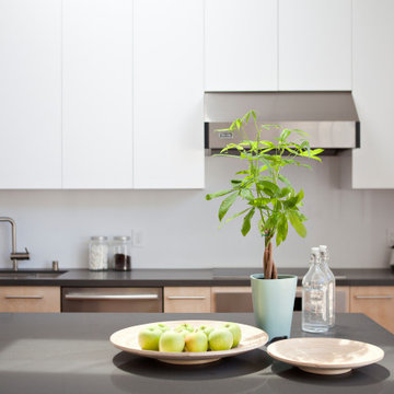 Net Zero Energy House