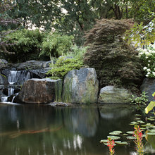 Pictures of Ponds