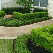 Planting
