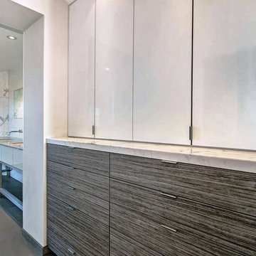 Scripps Ranch Contemporary