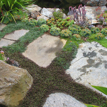 Urban Gardens