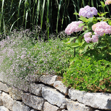 Faszination Gartenteich - modern und verspielt