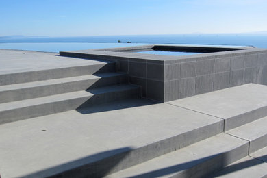 Example of a mid-sized trendy backyard concrete and rectangular infinity hot tub design in Los Angeles